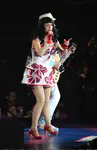 California Dreams Tour | New York City, NY - November 16, 2011