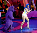 California Dreams Tour | New York City, NY - November 16, 2011