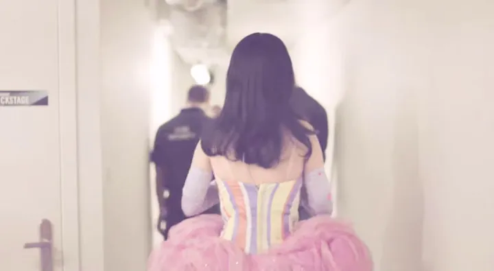 California Dreams Tour 2011 [宣传片]