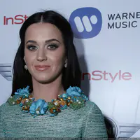 Mini 呈献 华纳音乐集团 2013 格莱美庆功活动