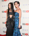 The 2013 Delete Blood Cancer Gala - 红地毯