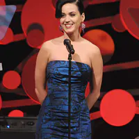 The 2013 Delete Blood Cancer Gala - 内部