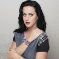 Los Angeles Times - Jay L. Clendenin (2013)