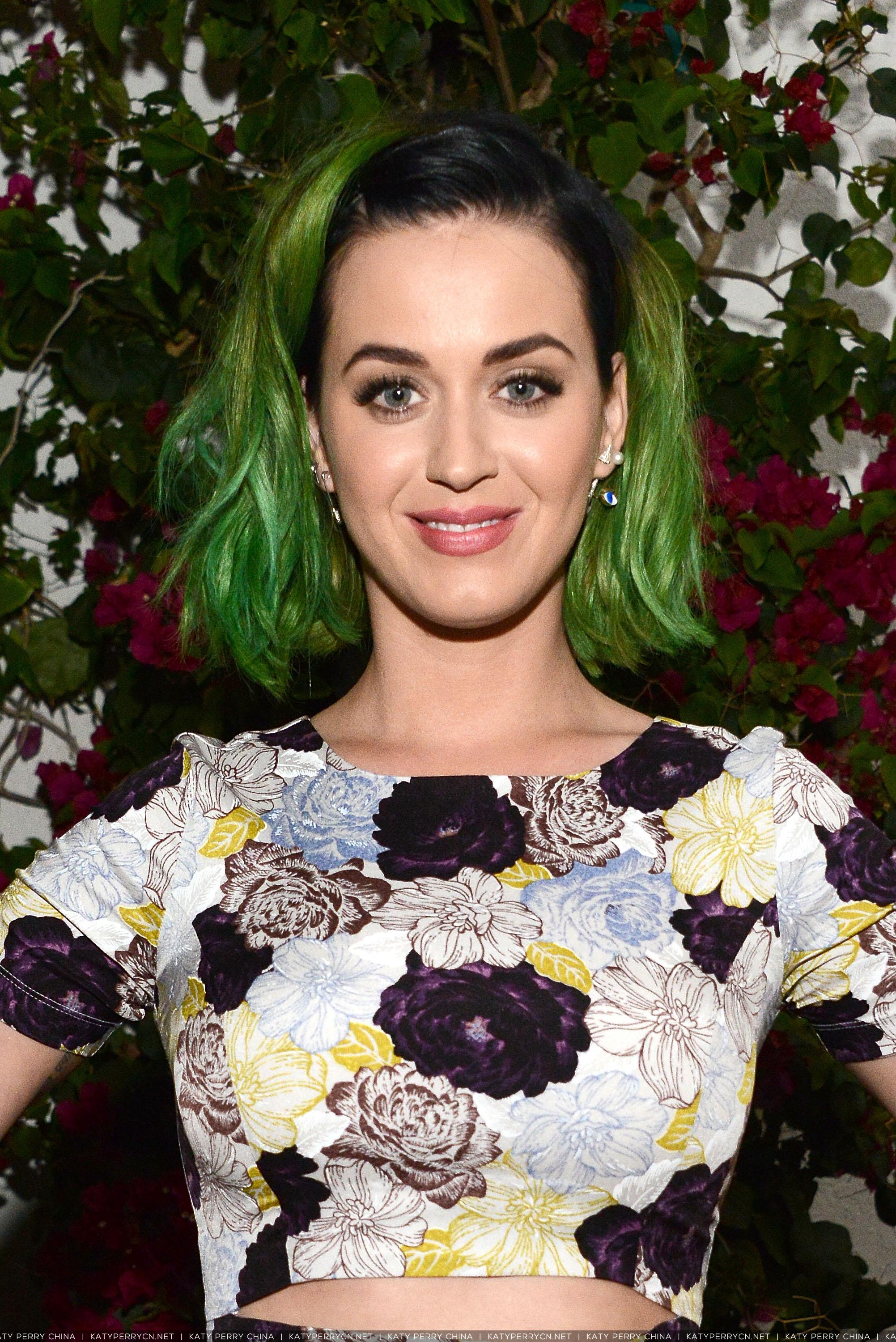 国会议员候选人玛丽安·威廉姆森新闻活动