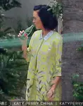 John Mayer和Katy Perry在派对上被发现复合