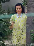 John Mayer和Katy Perry在派对上被发现复合