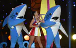 Pepsi Super Bowl XLIX Halftime Show - Part.3