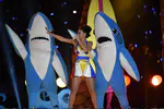 Pepsi Super Bowl XLIX Halftime Show - Part.3