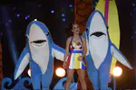 Pepsi Super Bowl XLIX Halftime Show - Part.3