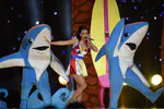 Pepsi Super Bowl XLIX Halftime Show - Part.3