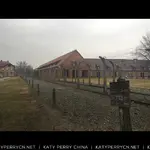 Instagram - 2015 存档