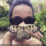 Instagram - 2015 存档