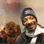 Instagram - 2015 存档