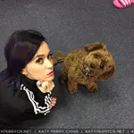 Instagram - 2015 存档