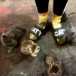 Instagram - 2015 存档