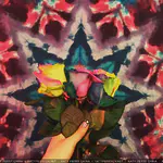 Instagram - 2015 存档