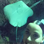 Instagram - 2015 存档