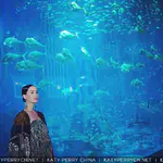 Instagram - 2015 存档