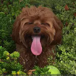 Instagram - 2015 存档