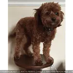 Instagram - 2015 存档