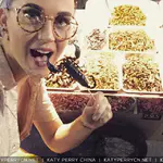 Instagram - 2015 存档