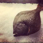 Instagram - 2016 存档