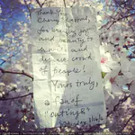 Instagram - 2016 存档