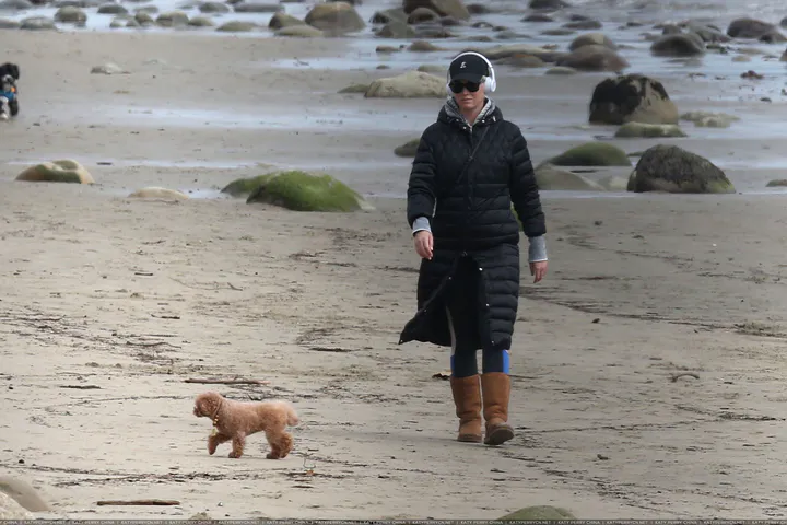 Pregnant Katy Perry spotted heading to the beach with her dog