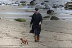 Pregnant Katy Perry spotted heading to the beach with her dog