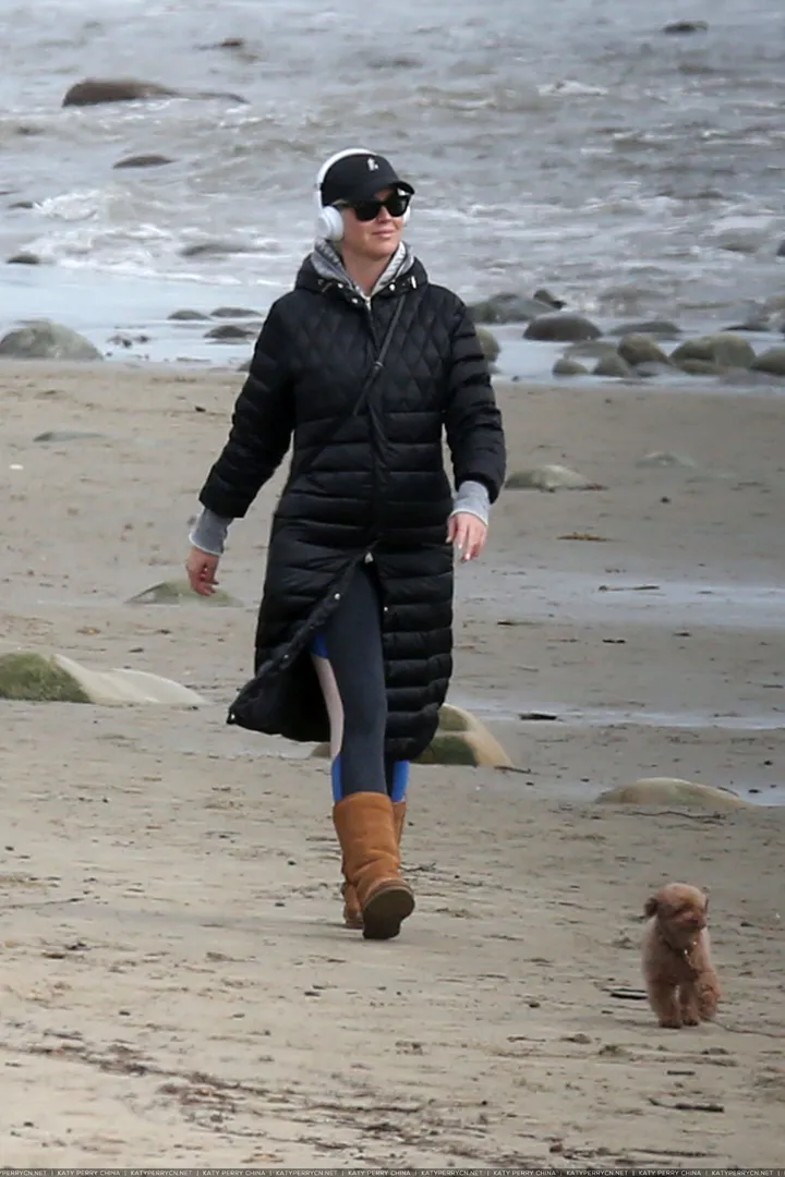 Pregnant Katy Perry spotted heading to the beach with her dog