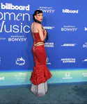 Billboard Women In Music 2024 - 红毯