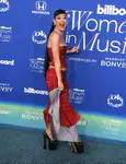 Billboard Women In Music 2024 - 红毯