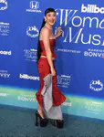 Billboard Women In Music 2024 - 红毯