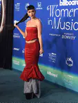 Billboard Women In Music 2024 - 红毯