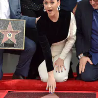 Capitol Records之星认证仪式