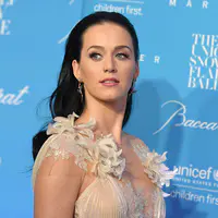 联合国儿童基金会 第12届雪花舞会