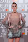 The BRIT Awards 2017
