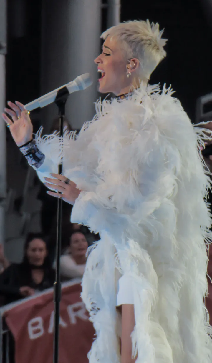 One Love Manchester 慈善演唱会