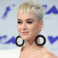 2017 MTV Video Music Awards - 红地毯