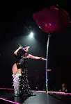 Witness The Tour Live in Montreal - Sep 19,2017