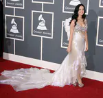 第53届格莱美奖颁奖典礼