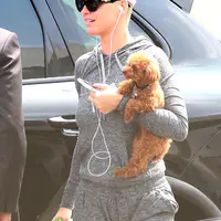 到美国偶像季终赛直播现场 - 2018年5月20日街拍